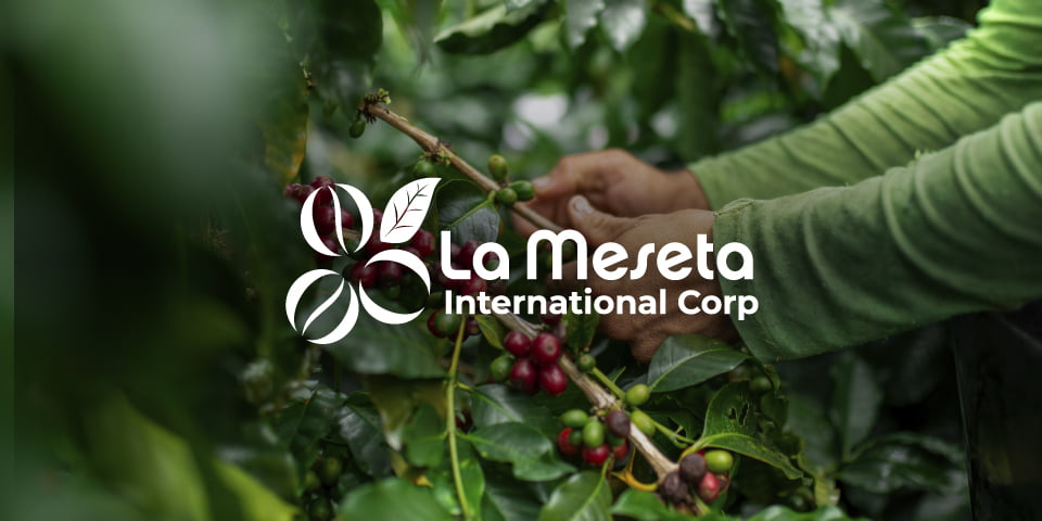 PortadaH_LaMeseta_2022